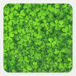 Adesivo Quadrado Shamrock Clovers Green Irish Símbolo Irlanda
