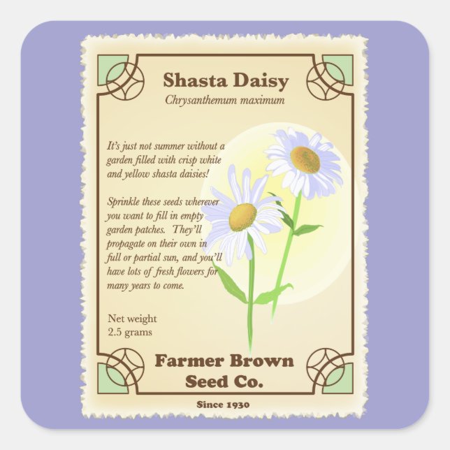 Adesivo Quadrado Shasta Daisy Seed Packet (Frente)