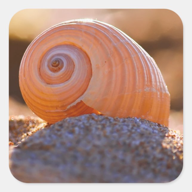 Adesivo Quadrado Shell Bokeh |Grécia (Frente)