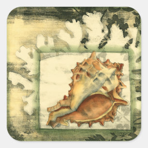 Adesivo Quadrado Shell de Conch de Silhueta