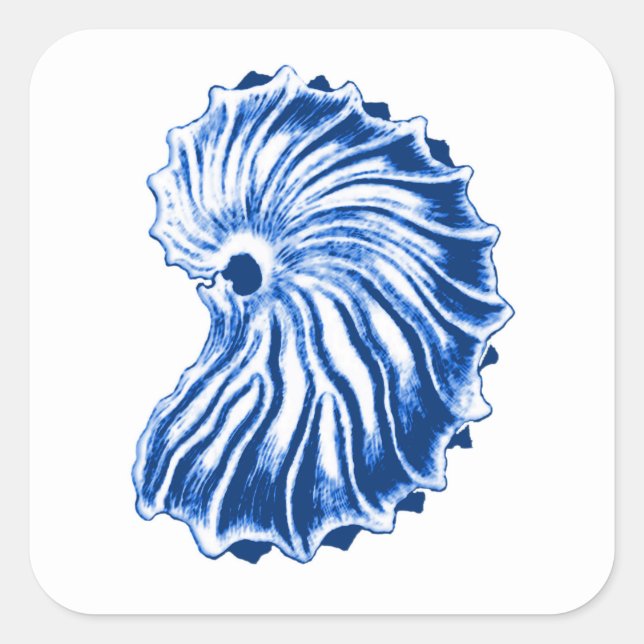 Adesivo Quadrado Shell Espiral, Azul Indigo e Branco (Frente)
