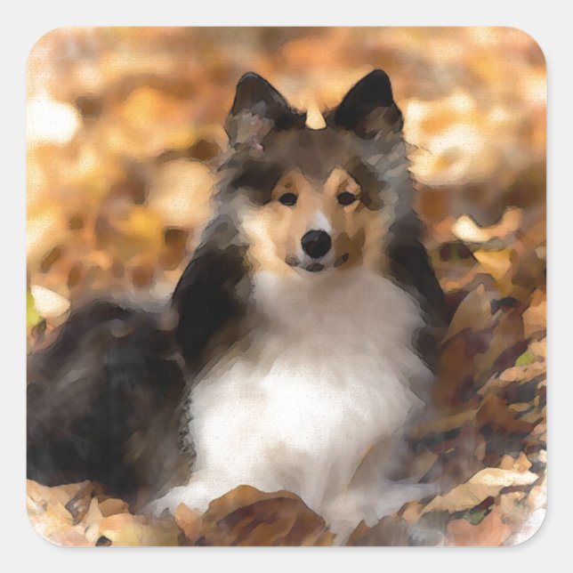 Adesivo Quadrado Sheltie Shetland Sheepdog Art Painting (Frente)