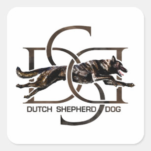 Adesivo Quadrado Shepherd - Hollandse Herdershond