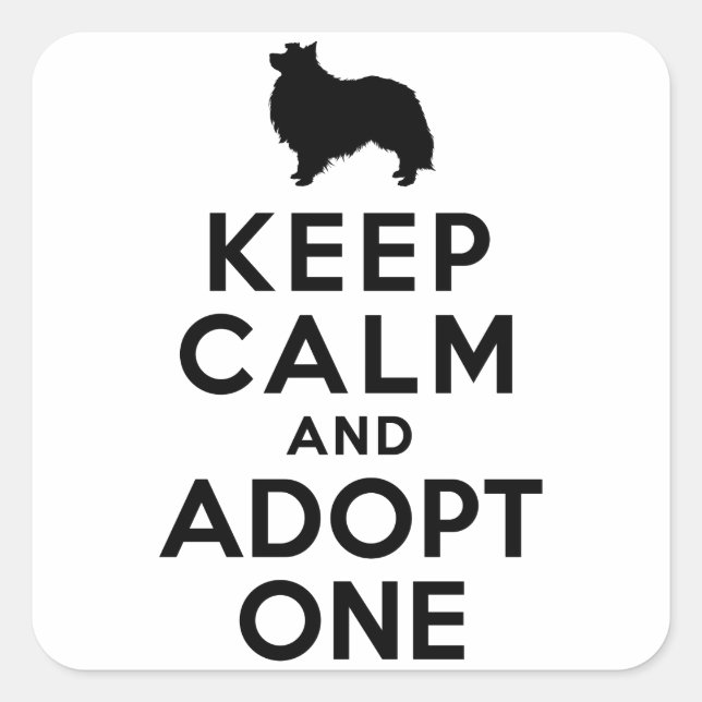 Adesivo Quadrado Shetland Sheepdog (Frente)