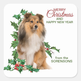 Adesivo Quadrado Shetland Sheepdog Red Berry Holly Christmas