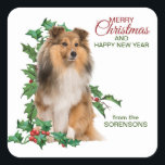 Adesivo Quadrado Shetland Sheepdog Red Berry Holly Christmas<br><div class="desc">Nestes adesivos de encerramento do envelope do cartão de férias bonito, um Shetland Sheepdog fica sentado em frente a galerias cheias de bagas vermelhas. O texto vermelho e verde à direita diz "Feliz Natal e FELIZ ANO NOVO". Seu texto personalizado está no fundo. Perfeito para sua correspondência de Natal ou...</div>