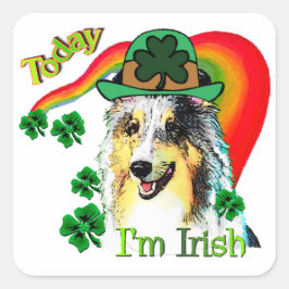 Adesivo Quadrado Shetland Sheepdog St Patricks