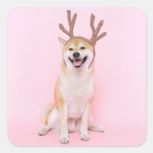 Adesivo Quadrado Shiba inu vestindo fantasia de veado de natal