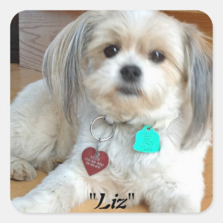 Adesivo Quadrado Shih Tzu chamado Liz Sticker