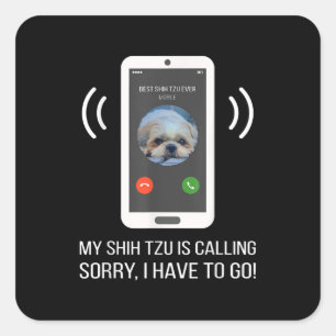 Adesivo Quadrado Shih Tzu Lover   Cão Shih Tzu Engraçado