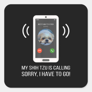 Adesivo Quadrado Shih Tzu Lover   Cão Shih Tzu Engraçado