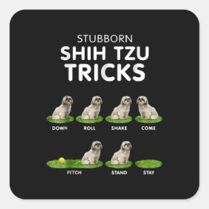 Adesivo Quadrado Shih Tzu Lover   Engraçado Shih Tzu Trick Amor