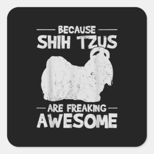 Adesivo Quadrado Shih Tzu Porque Shih Tzus É Incrível