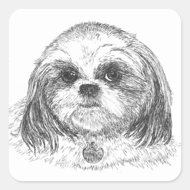 Adesivo Quadrado Shih Tzu Square Sticker (Frente)