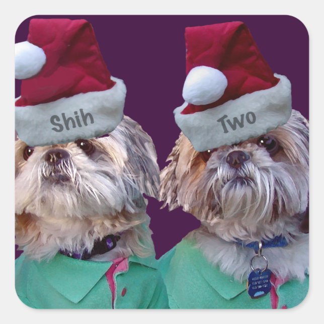 Adesivo Quadrado Shih Tzues Shih Two Christmas Sticker (Frente)