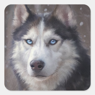 Adesivo Quadrado Siberian Husky Natal