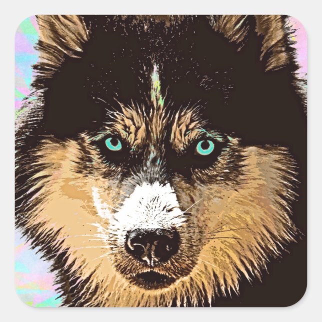 Adesivo Quadrado Siberian Husky Square Sticker (Frente)