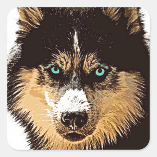 Adesivo Quadrado Siberian Husky Square Sticker