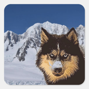 Adesivo Quadrado Siberian Husky Sticker