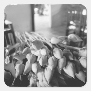 Adesivo Quadrado Siem Reap Camboja, Flores de Lótus