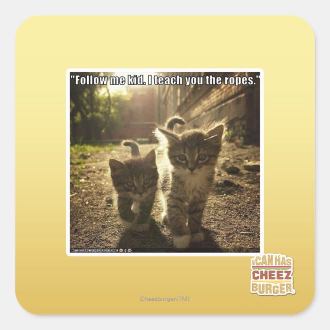 Adesivo Quadrado Siga-me Kid (Frente)