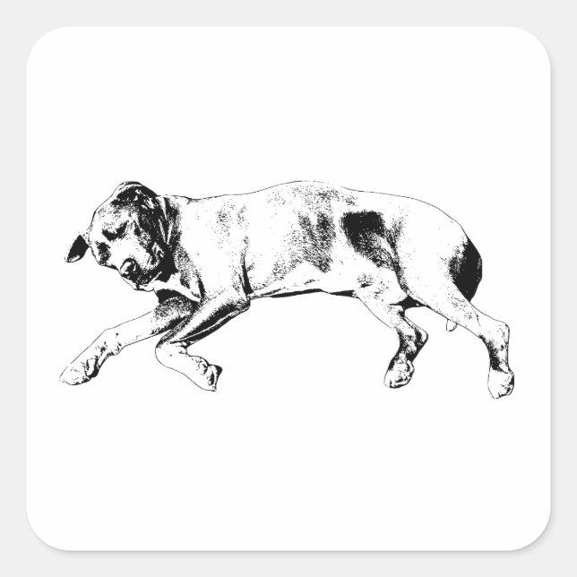 Adesivo Quadrado Silent Night Stretch (Frente)