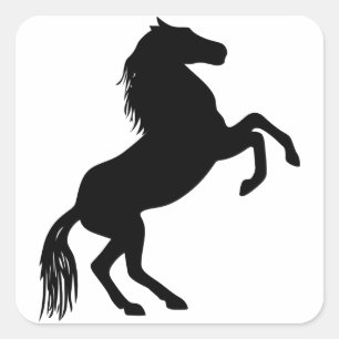 Adesivo Quadrado Silhueta de cavalo recriando