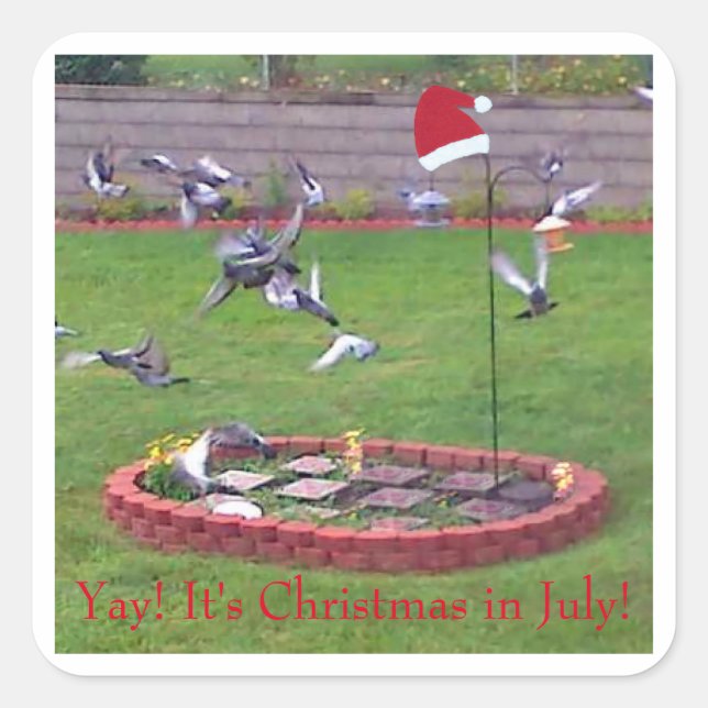 Adesivo Quadrado Sim! É Natal em julho, aves no alimentador (Frente)