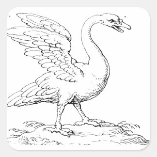 Adesivo Quadrado Símbolo de Cisne de Amor e Fidelidade Arte Refinad