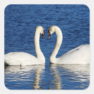 Adesivo Quadrado Sinal branco do coração do formulário de duas