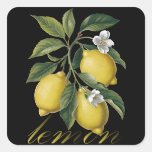 Adesivo Quadrado Sinfonia de limão vintage Golden Citrus