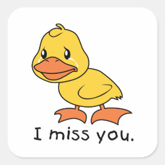 Adesivo Quadrado Sinto Sua Falta De Chorando O Chapéu De Pato Amare