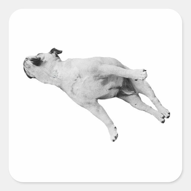 Adesivo Quadrado Sleeper Cutout, Noel Edition (Frente)