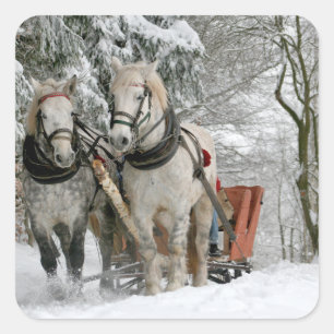 Adesivo Quadrado Sleigh Ride in the Snowy Forest
