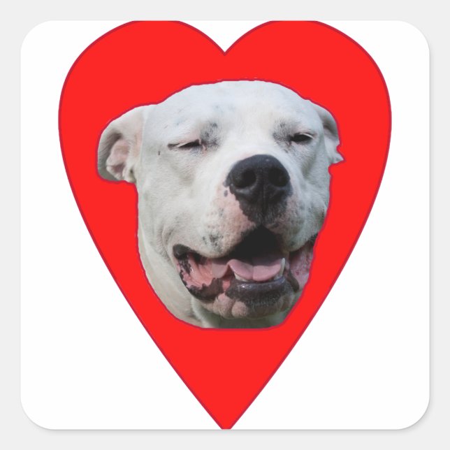 Adesivo Quadrado Smiling Dogo Argentino (Frente)