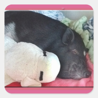 Adesivo Quadrado Smiling Pig Square Stickers