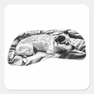Adesivo Quadrado Snoozer De Olho Lado Com Pedras De Pé