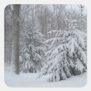 Adesivo Quadrado Snow In New England Sticker