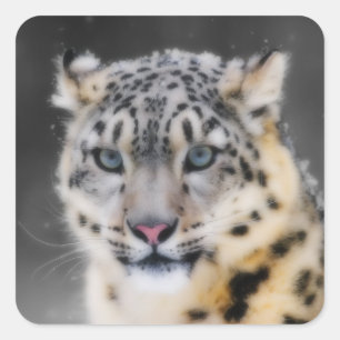 Adesivo Quadrado Snow Lepard