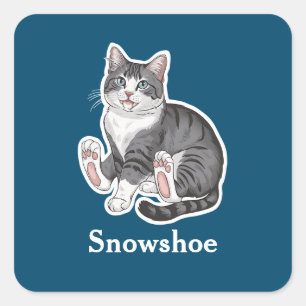 Adesivo Quadrado Snowshoe