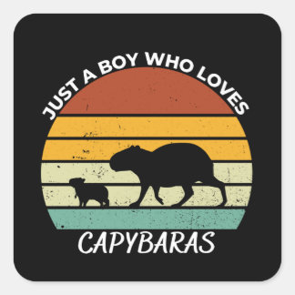 Adesivo Quadrado Só um garoto que ama o capybaras