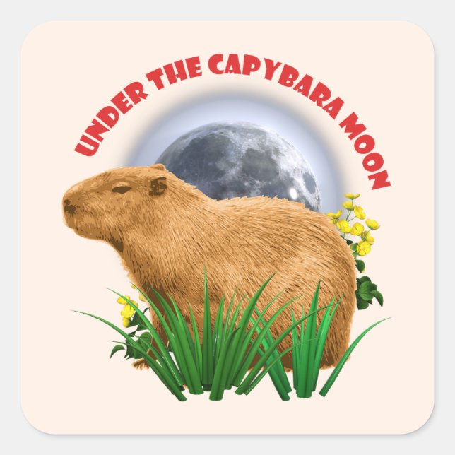 Adesivo Quadrado Sob a Lua do Capivara Camiseta Divertida de Capiva (Frente)