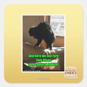 Adesivo Quadrado Sofa Bison