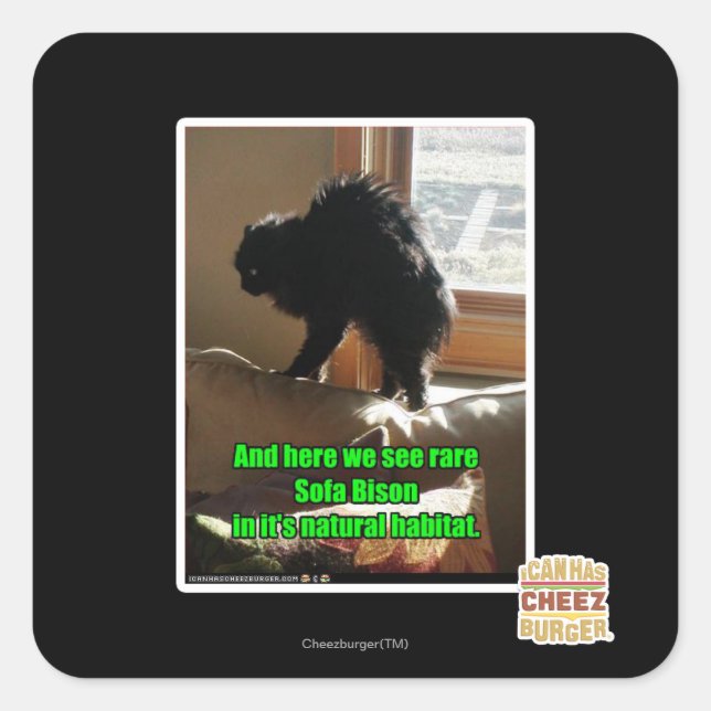 Adesivo Quadrado Sofa Bison (Frente)