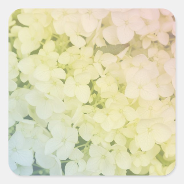 Adesivo Quadrado  Soft Pastel Rainbow Hydrangea (Frente)