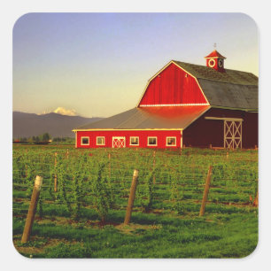 Adesivo Quadrado Sol da noite em um celeiro em Skagit, Washington