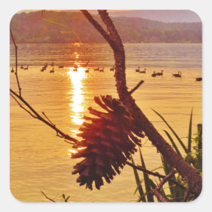 Adesivo Quadrado Sol do Lago Pinecone