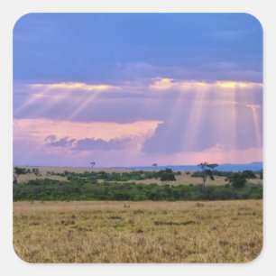 Adesivo Quadrado Sol se pondo no Masai Mara.