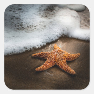 Adesivo Quadrado Solitário Starfish Na Praia
