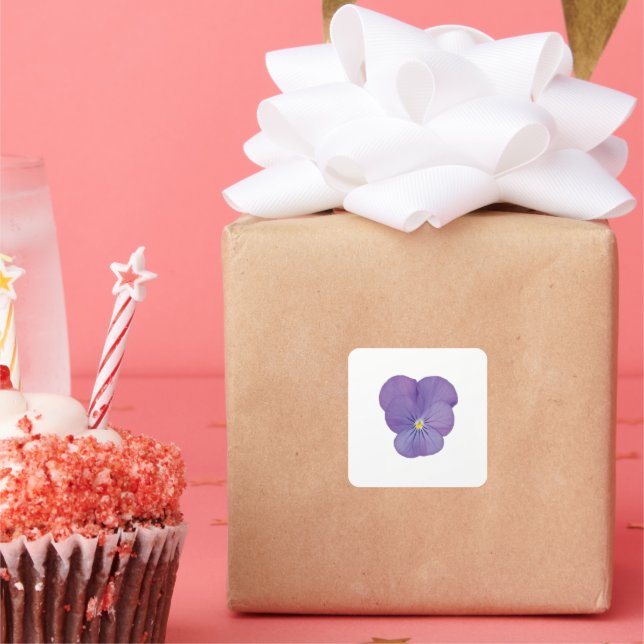 Adesivo Quadrado Solteiro Pansor Vinheta (Festa)